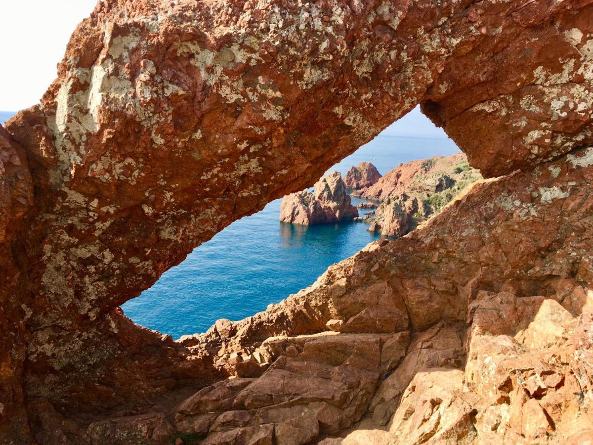 Bed,Kitchen And Swimming Pool Villa Esterel Saint-Raphaël エクステリア 写真